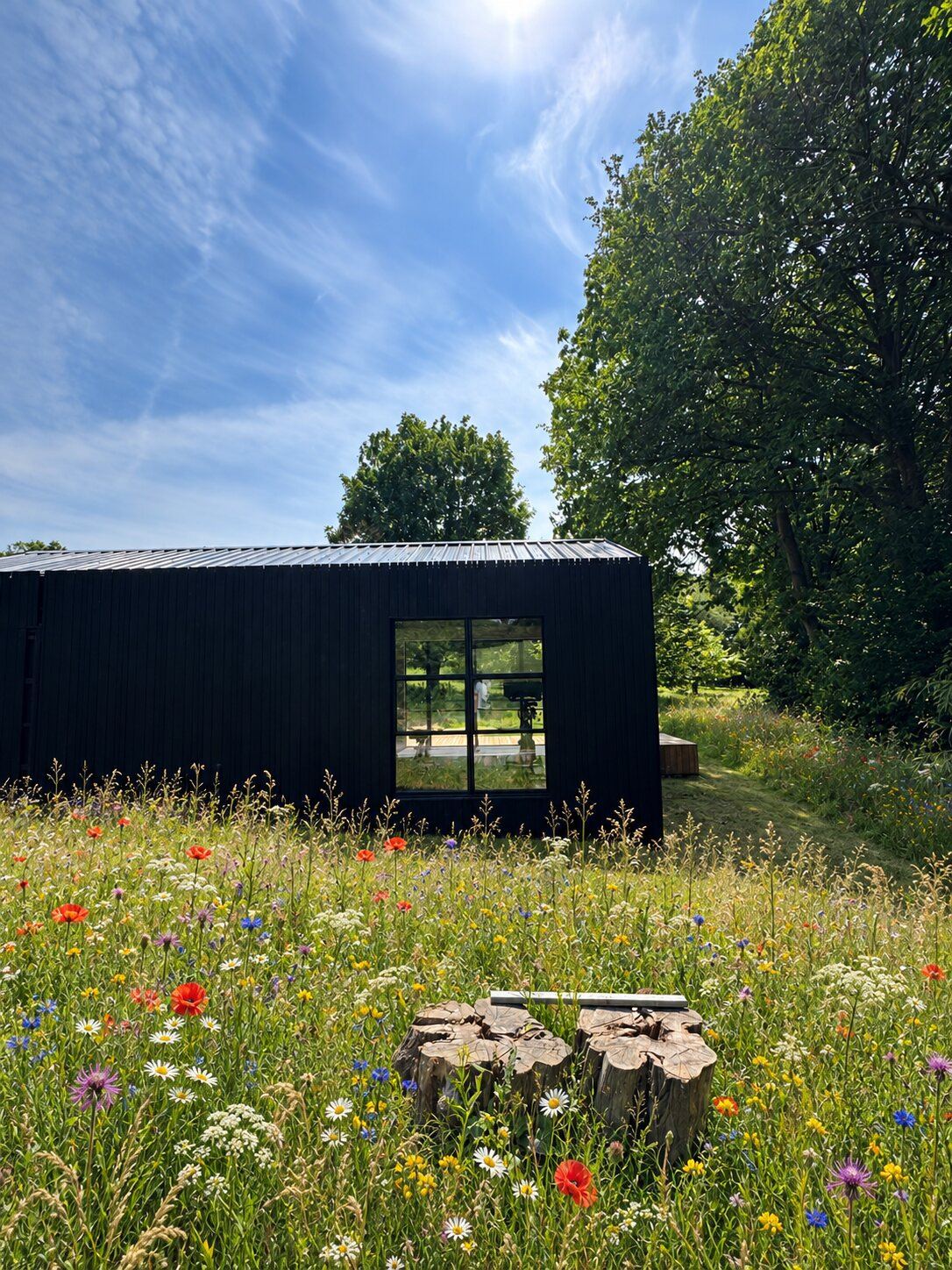Clad in charred larch – Off-grid timber new build, Smeeth, Kent, photo 2