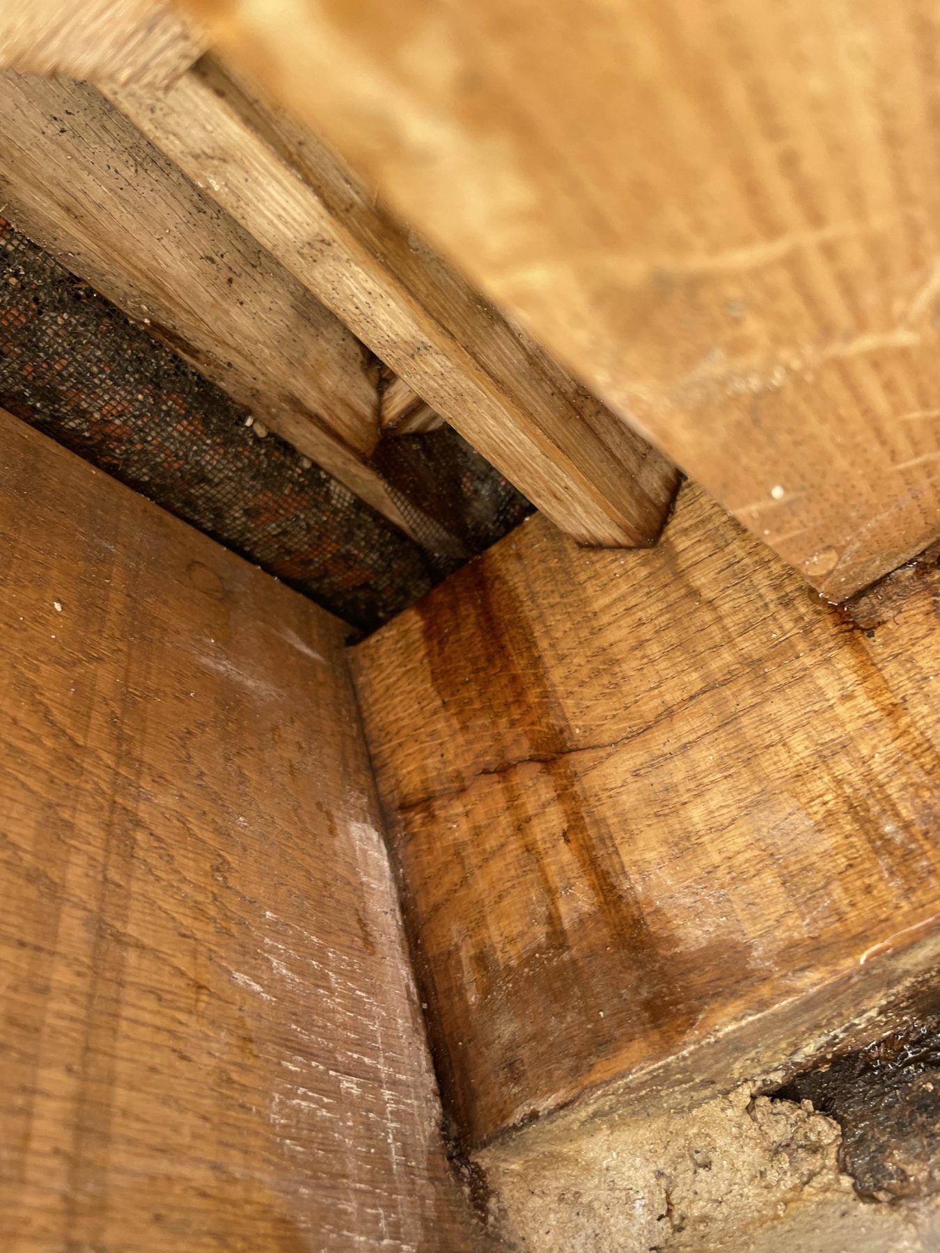 Old timber joints revealed – USFEW, Kent